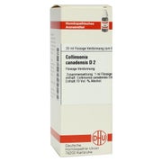 Collinsonia Canadensis D 2 Dilution 20 ml
