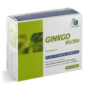 Avitale GINGKO-Biloba 192 St