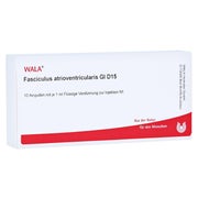 Produktabbildung: Fasciculus Atrioventricularis GL D 15 Am 10X1 ml