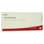 Produktabbildung: Viscum Crataegus Ampullen 10X1 ml
