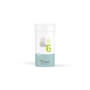 Produktabbildung: Biochemie Pflüger Schüßler-Salz Nr. 6 Kalium sulfuricum D6 100 g