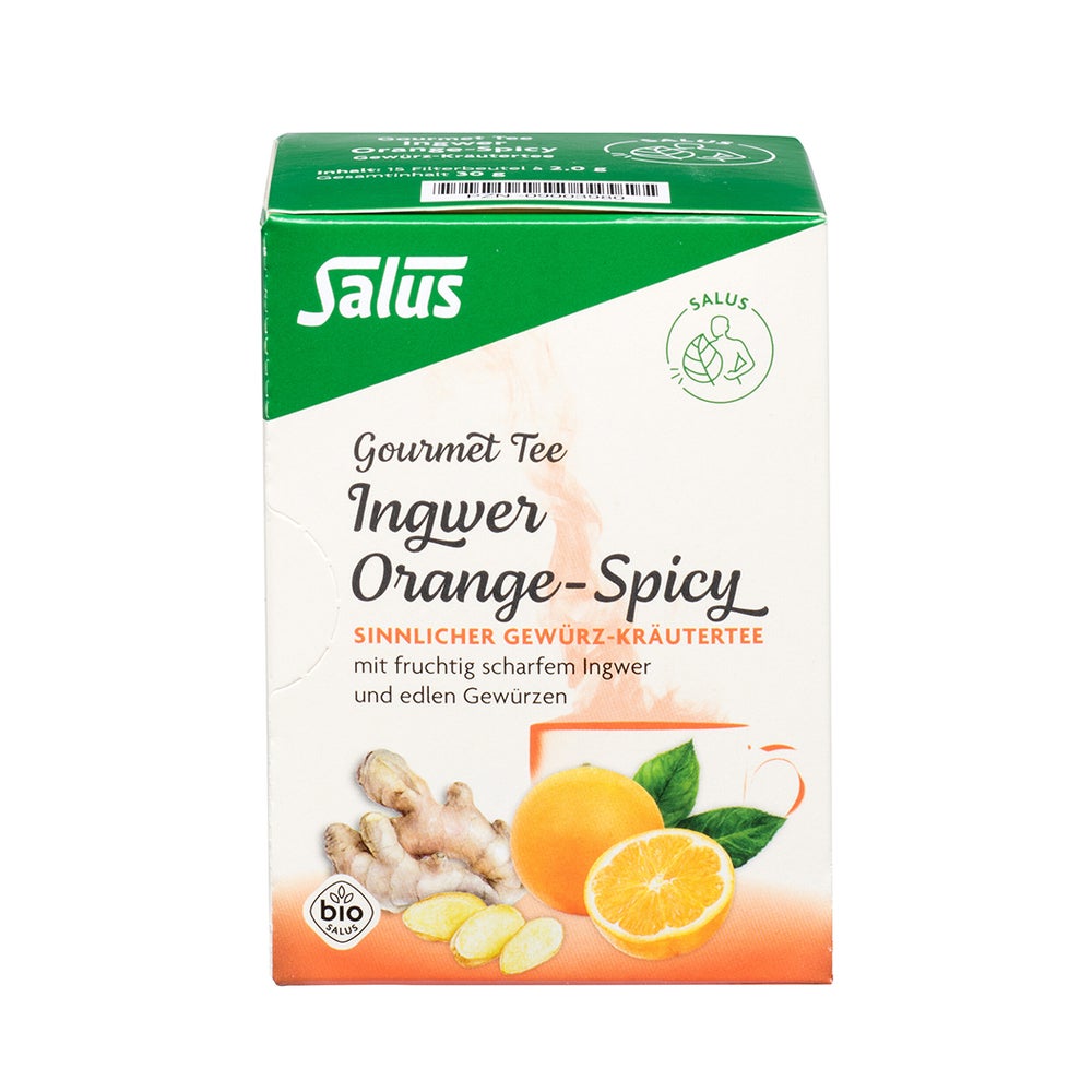 Ingwer Orange Spicy Tee Salus Filterbeut 15 St