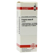 Fragaria Vesca Urtinktur 20 ml