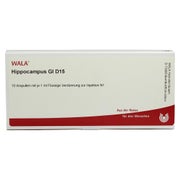 Produktabbildung: Hippocampus GL D 15 Ampullen 10X1 ml