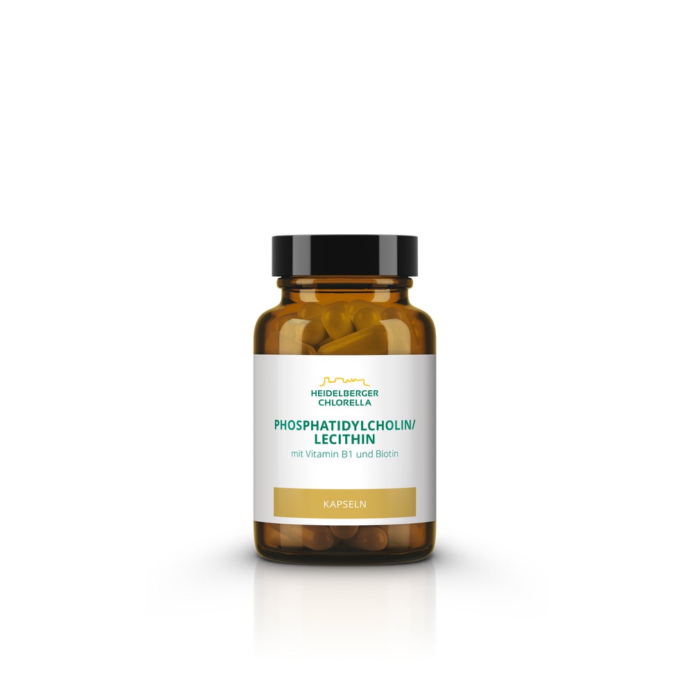 Phosphatidylcholin/lecithin Phospholipid 60 St
