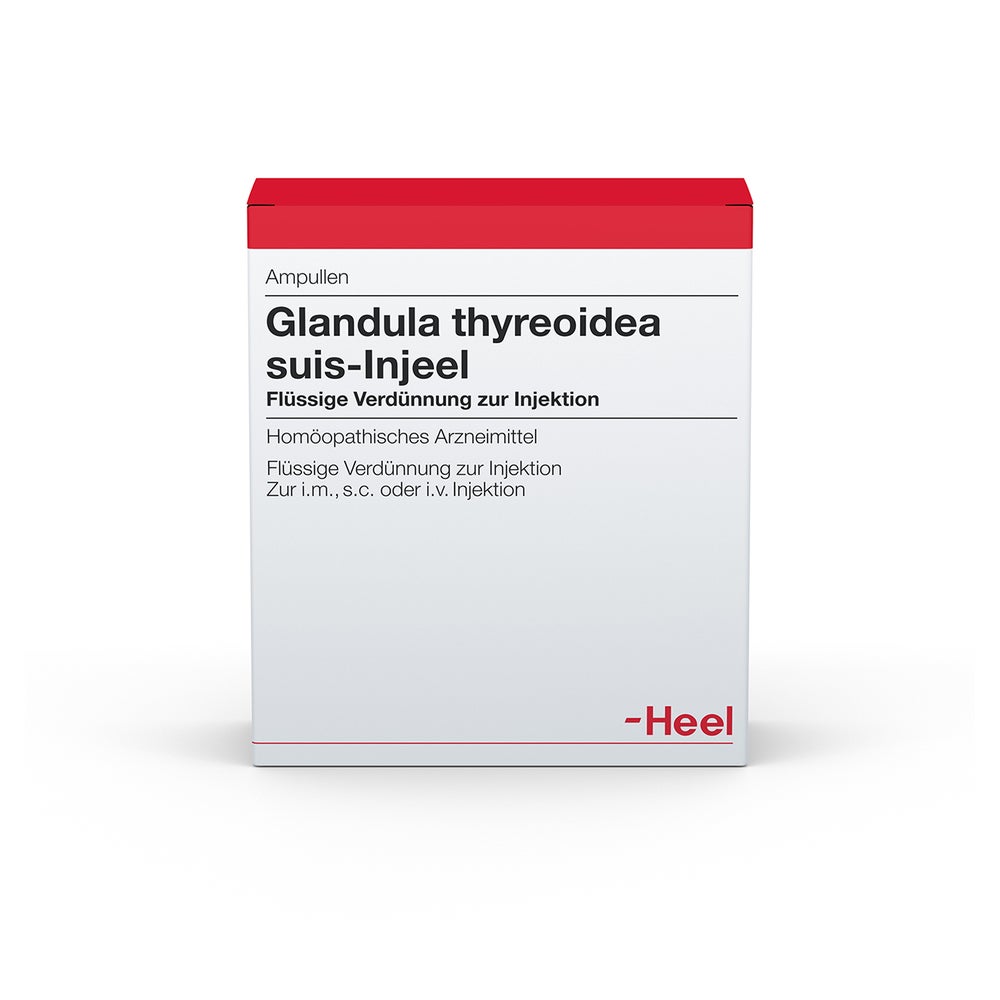 Glandula Thyreoidea suis Injeel Ampullen 100 St