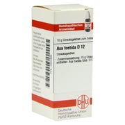 Produktabbildung: ASA Foetida D 12 Globuli 10 g