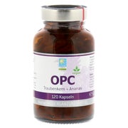 Produktabbildung: OPC 200 mg Kapseln 120 St