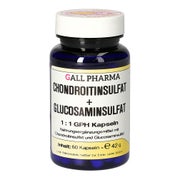 Chondroitinsulfat+glusosaminsulfat 1:1 G 60 St
