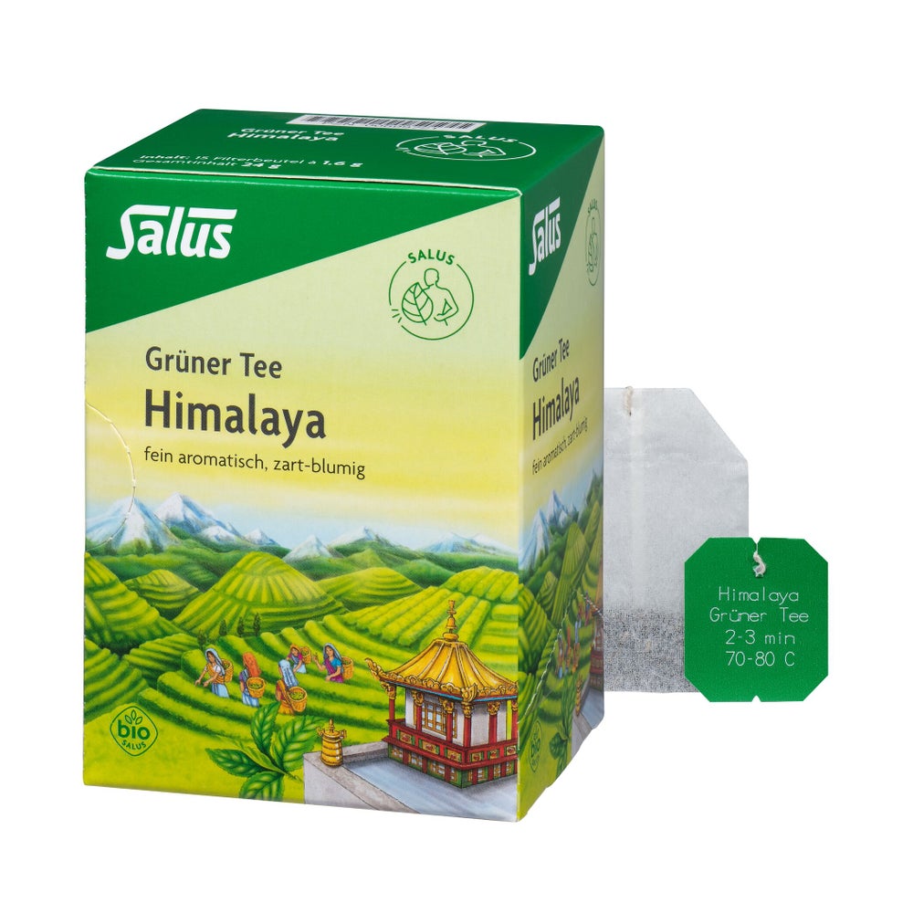 Grüner TEE Himalaya Bio Salus Filterbeut 15 St