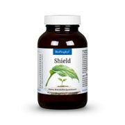 BioProphyl Shield Kapseln 120 St