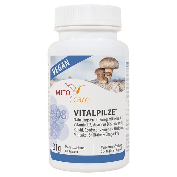 Vitalpilze 60 St