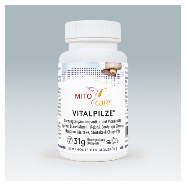 Vitalpilze 60 St