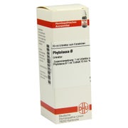 Phytolacca Urtinktur 20 ml
