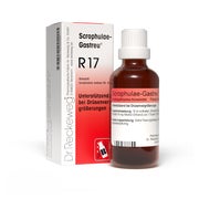 Produktabbildung: Dr. Reckeweg Scrophulae-Gastreu R17 22 ml