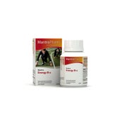 Mantra Energy B12 Kapseln 90 St