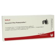Iscucin pini Potenzreihe I Ampullen 10X1 ml