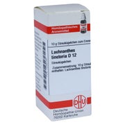Produktabbildung: Lachnanthes Tinctoria D 12 Globuli 10 g