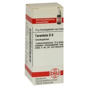Produktabbildung: Tarantula D 6 Globuli 10 g