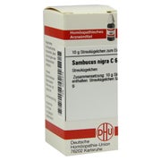 Produktabbildung: Sambucus Nigra C 6 Globuli 10 g