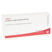 Produktabbildung: Cerebrum Regio Motorica GL D 12 Ampullen 10X1 ml