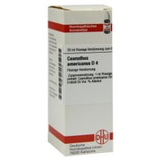 Produktabbildung: Ceanothus Americanus D 4 Dilution 20 ml