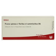 Prunus Spinosa E floribus et summitatibu 10X1 ml