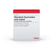 Glandula Thyreoidea suis Injeel Ampullen 10 St