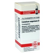 Produktabbildung: Caladium Seguinum D 6 Globuli 10 g