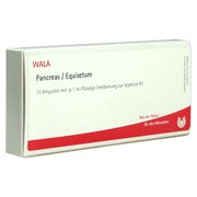 Produktabbildung: Pancreas/equisetum Ampullen 10X1 ml