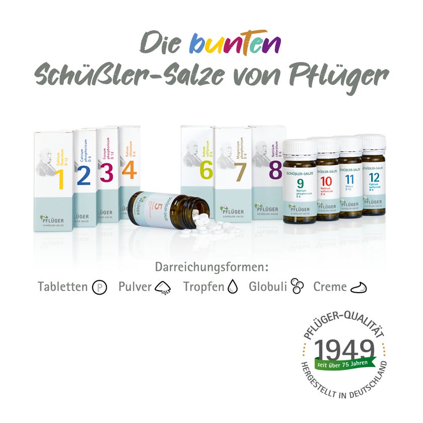 Biochemie Pflüger Schüßler-Salz Nr. 8 Natrium chloratum D6 400 St