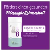 Biochemie Pflüger Schüßler-Salz Nr. 8 Natrium chloratum D6 400 St