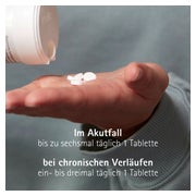 Biochemie Pflüger Schüßler-Salz Nr. 8 Natrium chloratum D6 400 St