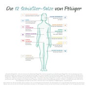 Biochemie Pflüger Schüßler-Salz Nr. 8 Natrium chloratum D6 400 St