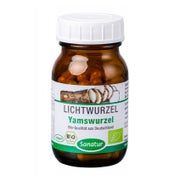 Yamswurzel Kapseln Bio 60 St