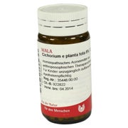 Produktabbildung: Cichorium E Planta tota 5% Globuli 20 g