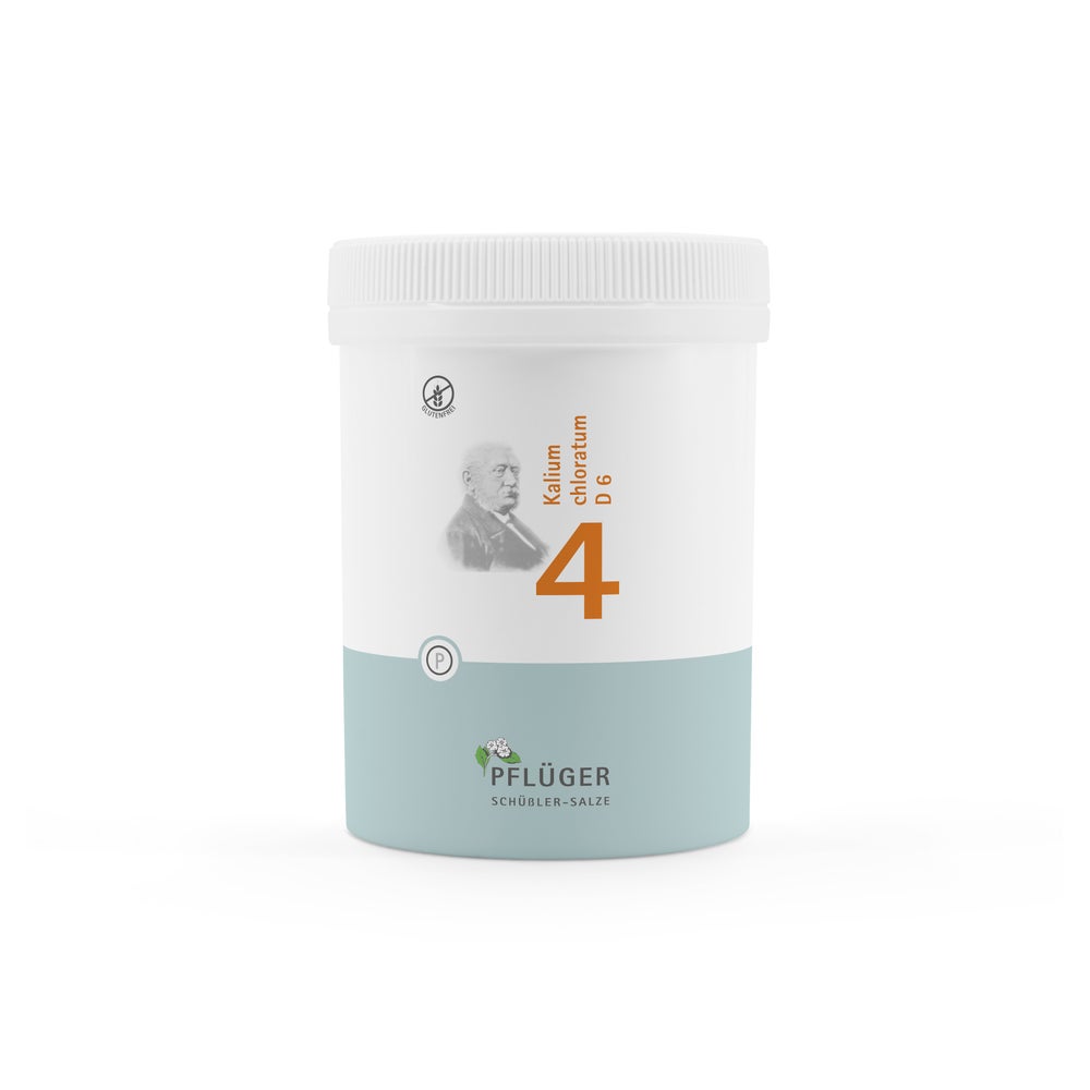 Biochemie Pflüger Schüßler-Salz Nr. 4 Kalium chloratum D6 1000 St