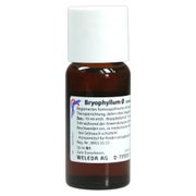 Produktabbildung: Bryophyllum Urtinktur 50 ml