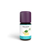 Produktabbildung: Ingwer Bioaroma Baldini ätherisches Öl 5 ml