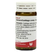 Produktabbildung: Hornerz/cartilago Comp.globuli 20 g