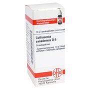 Collinsonia Canadensis D 6 Globuli 10 g