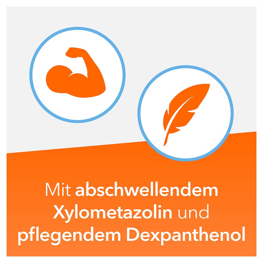NasenDuo Nasenspray - bei Schnupfen 10 ml