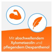 NasenDuo Nasenspray - bei Schnupfen 10 ml