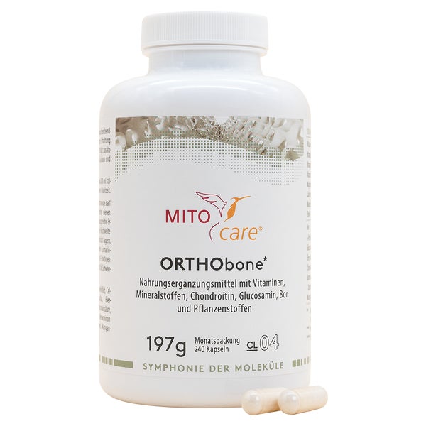 ORTHObone 240 St