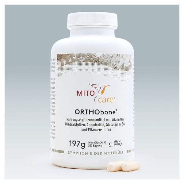 ORTHObone 240 St