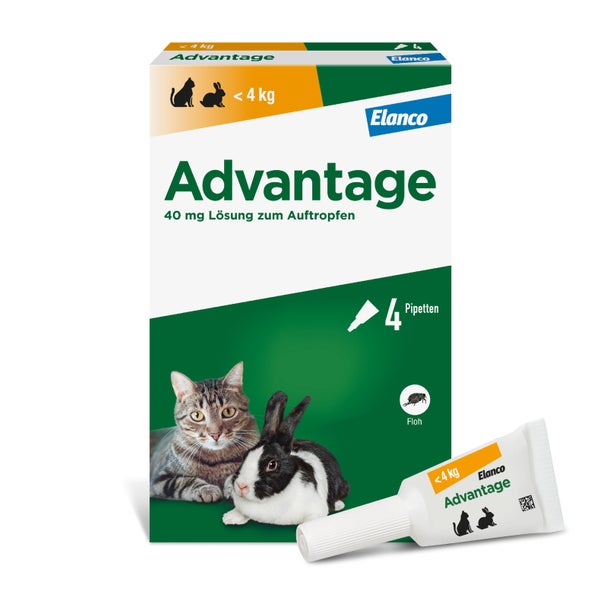 Advantage™ 40 mg Katze 4X0,4 ml