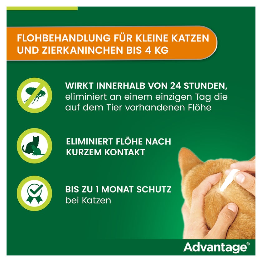 Advantage 40 mg Katzen und Zierkaninchen bis 4 kg 4X0,4 ml