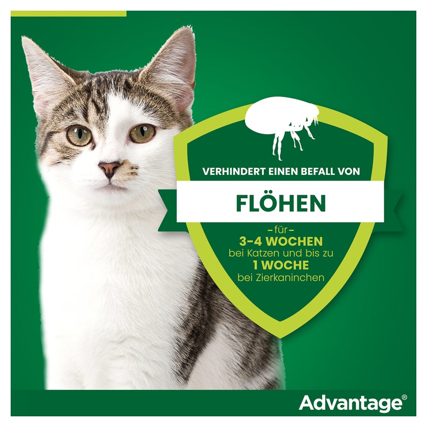 Advantage 40 mg Katzen und Zierkaninchen bis 4 kg 4X0,4 ml