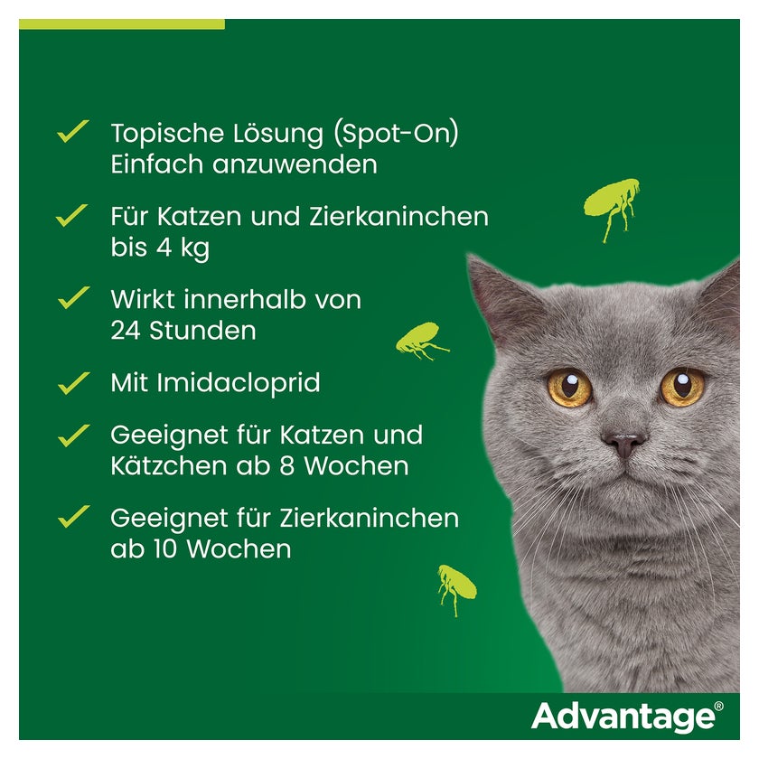Advantage 40 mg Katzen und Zierkaninchen bis 4 kg 4X0,4 ml