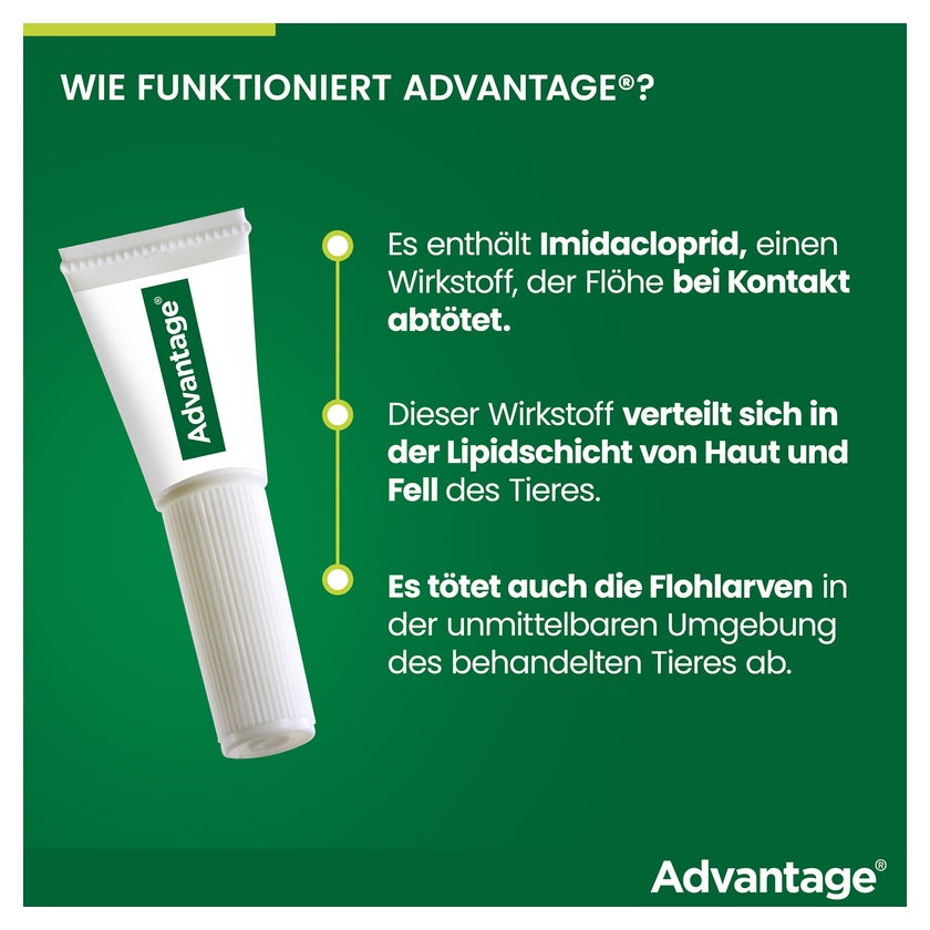 Advantage 40 mg Katzen und Zierkaninchen bis 4 kg 4X0,4 ml